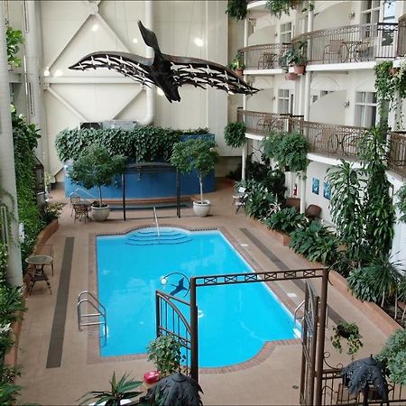 Hotel L'Oie Des Neiges Lévis Eksteriør billede